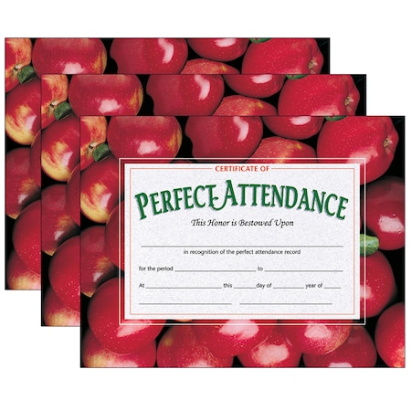 Hayes Certificate of Perfect Attendance, 30 Per Pack, PK3, Recommended Grade: K-12 VA513